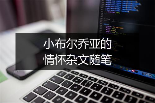 小布尔乔亚的情怀杂文随笔