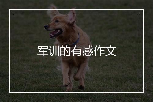 军训的有感作文