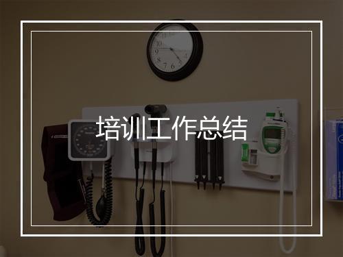 培训工作总结