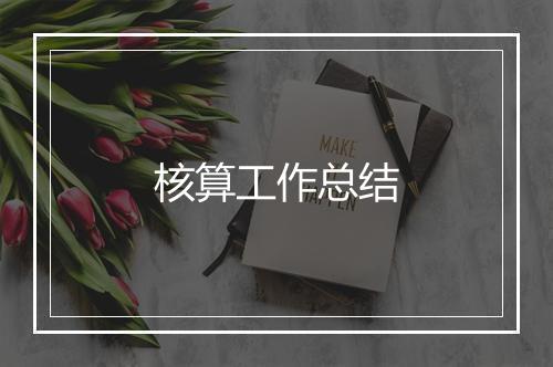 核算工作总结